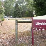 Camping Lilydale Falls