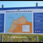 Camping Waterhouse Conservation Reserve