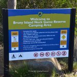 Camping The Neck Bruny Island