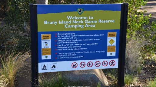 camping bruny island the neck